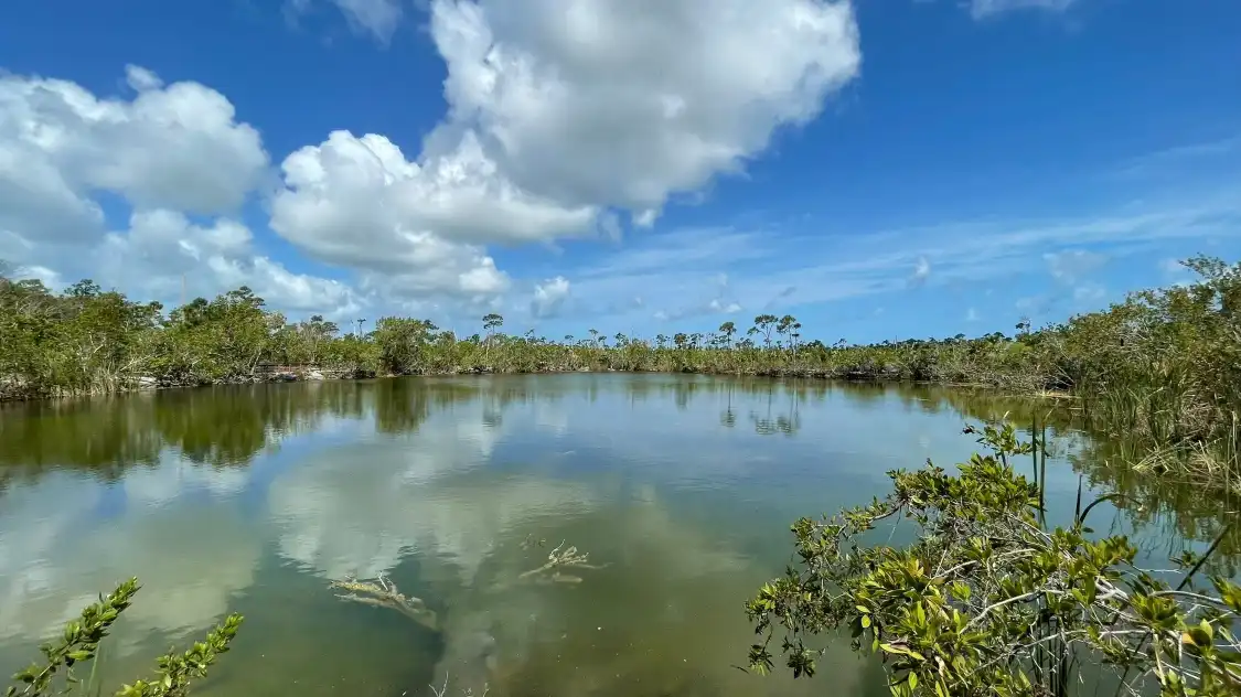 Hotels near Blue Hole