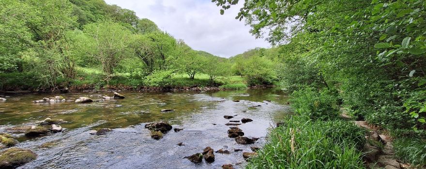 Tarr Steps