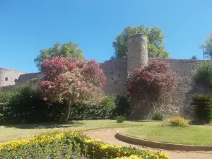 Castelo de Abrantes