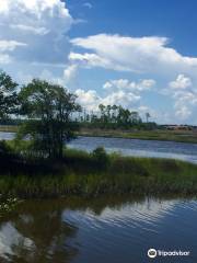 Dutton Island Preserve