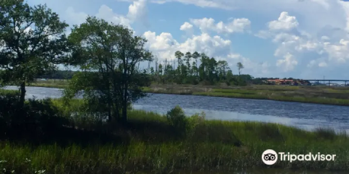 Dutton Island Preserve