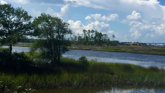 Dutton Island Preserve