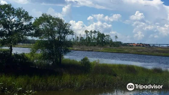 Dutton Island Preserve