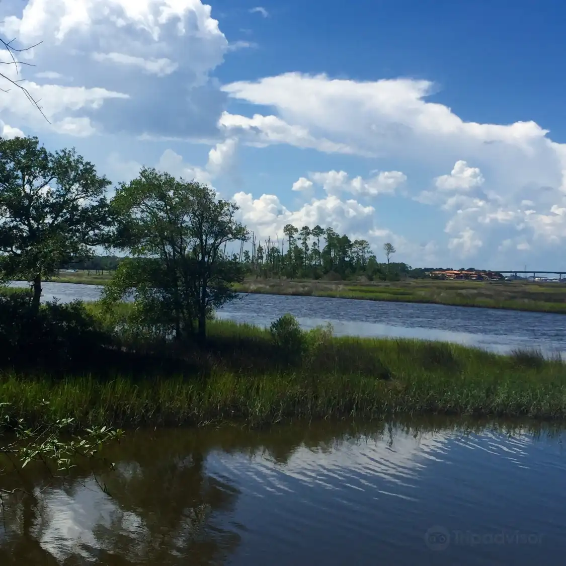 Hotels near Dutton Island Preserve