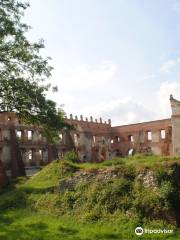 Castle Ruins in Krupe