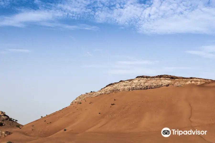 Dune Bashing