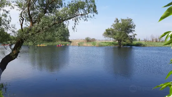 Nizhnednestrovskiy National Park