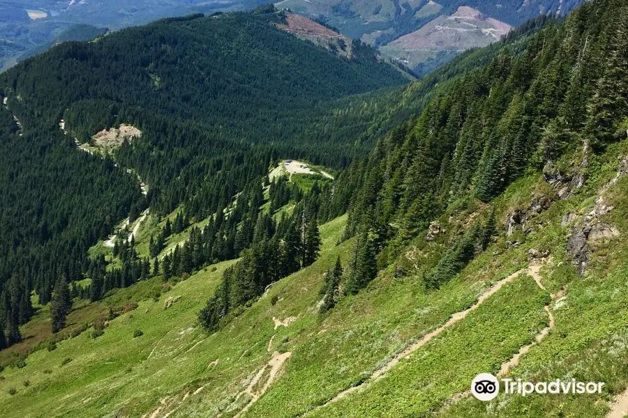 Sauk Mountain Trail