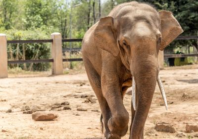 Teuk Chhou Zoo