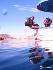 Diving Center Pinediver