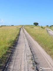 Maputo Elephant Reserve (Reserva Especial de Maputo)