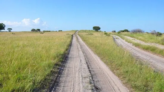 Maputo Elephant Reserve (Reserva Especial de Maputo)