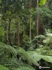 Ulidarra National Park