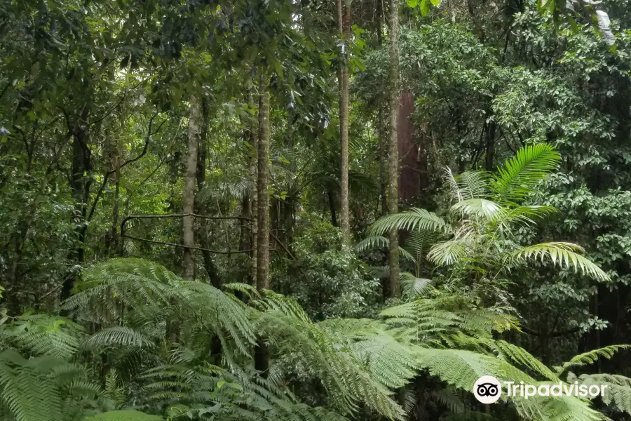 Ulidarra National Park