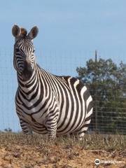 Cape Safari Park