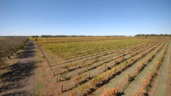 Brand's Laira Coonawarra