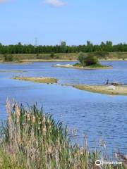 The Forest of Marston Vale - Forest Centre