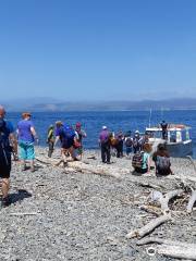 Kapiti Island Eco Experience