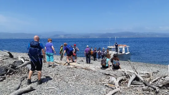 Kapiti Island Eco Experience