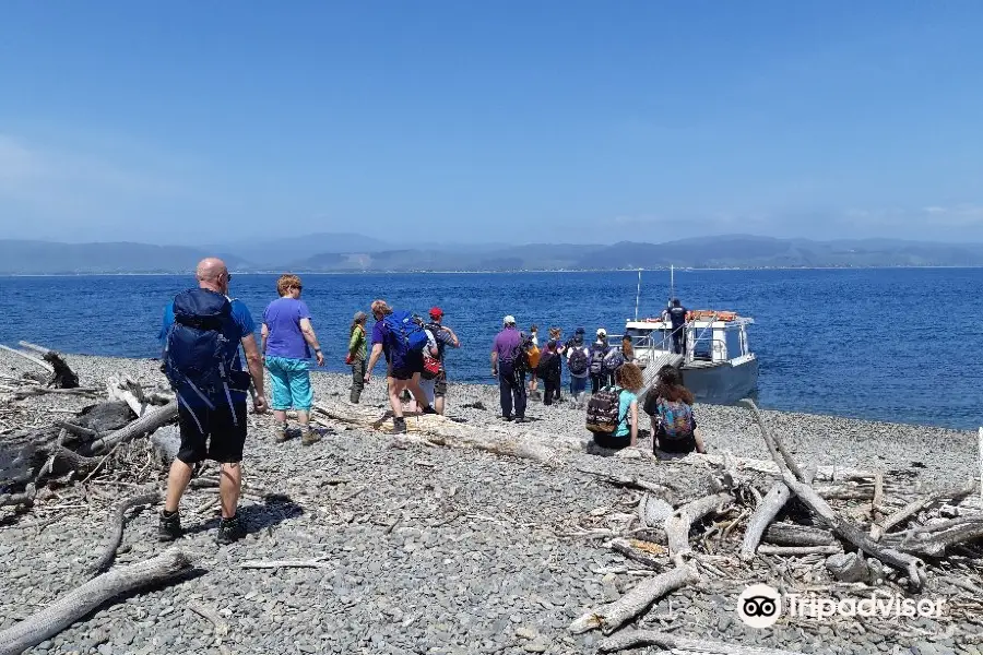 Kapiti Island Eco