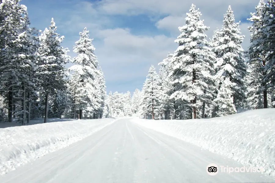 DJ's Snowmobile Adventures