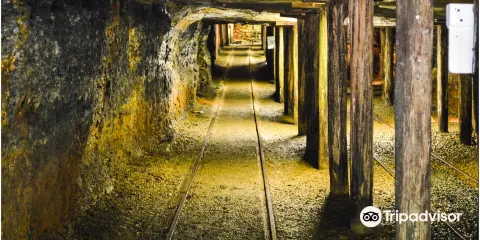 Mina de Visita??o Octávio Fontana