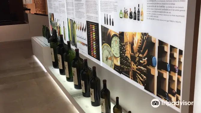 4_Museo Provincial del Vino