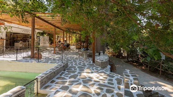 Butterflies Nature Reserve