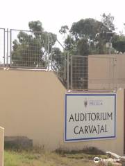 Auditorium Carvajal
