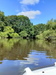 Quay Leisure Boat Hire