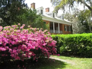 Shadows on the Teche