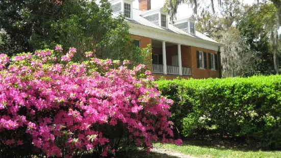 Shadows-on-the-Teche