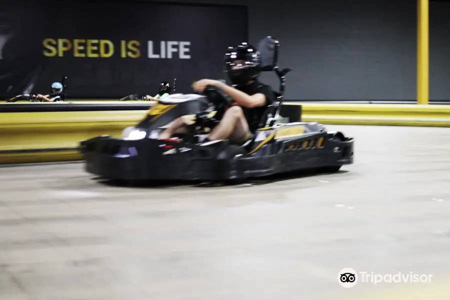 Amp Up Action Park Go-Karting and Axe Throwing - St. Louis