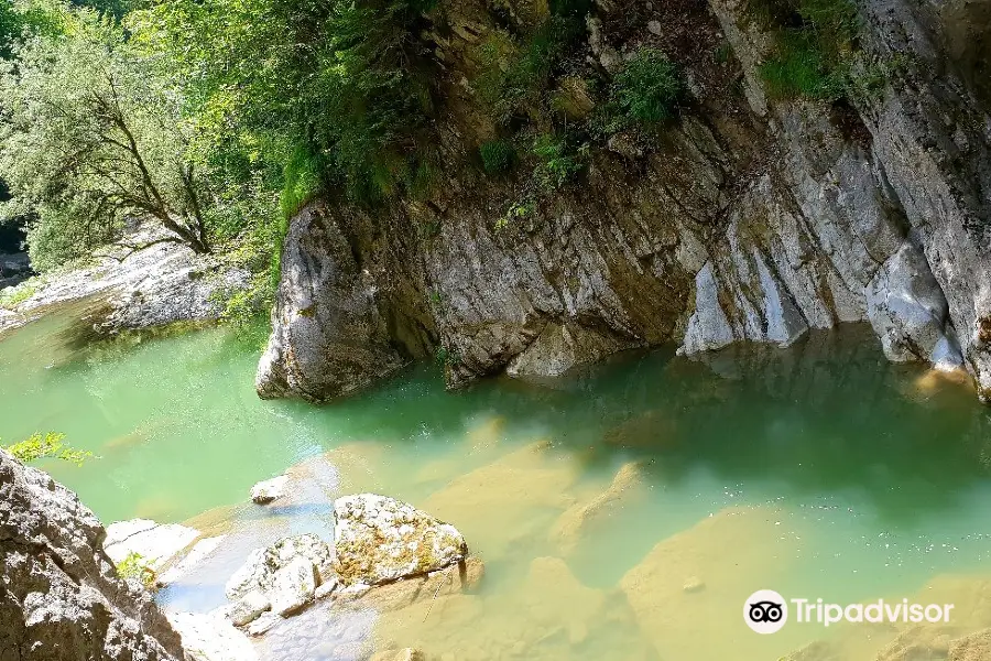 Gorges de la Jogne