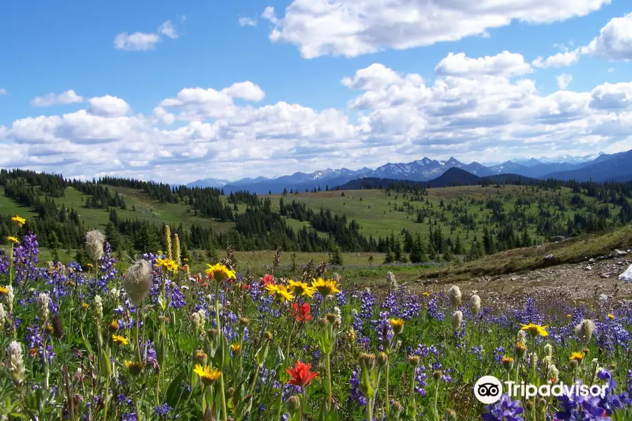 E.C Manning Provincial Park