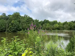 Washington Lake Park
