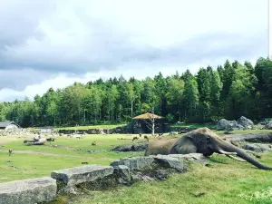 Zoológico de Borås
