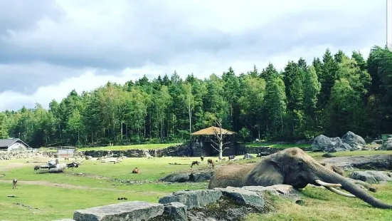 ボロース動物園