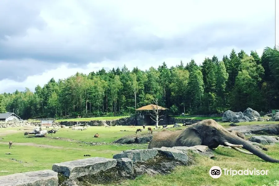 Zoológico de Borås