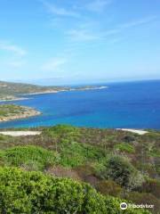 Cooperativa Sealand Asinara