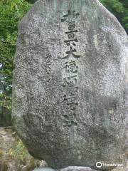 Seishindaitokushoutokuhi