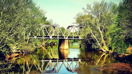 Bridge Tar River Trail