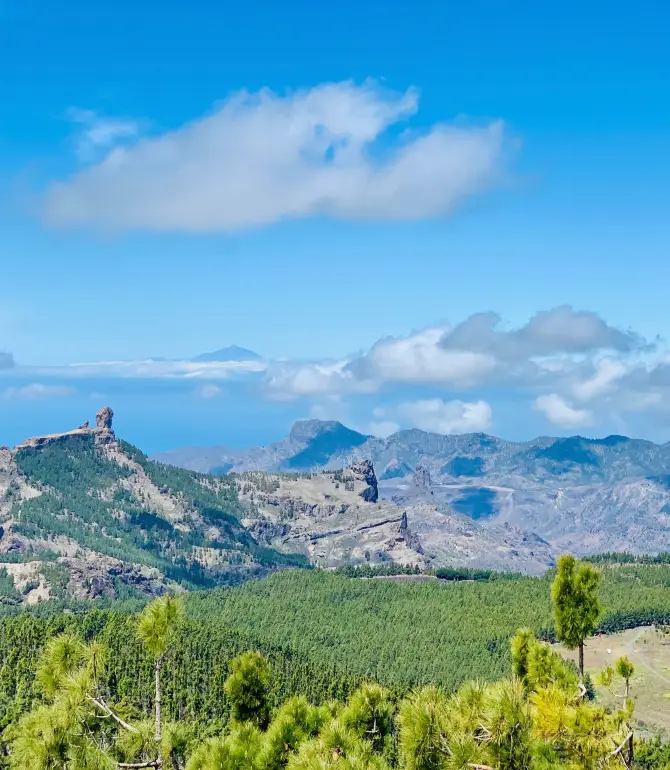 Vega de San Mateo