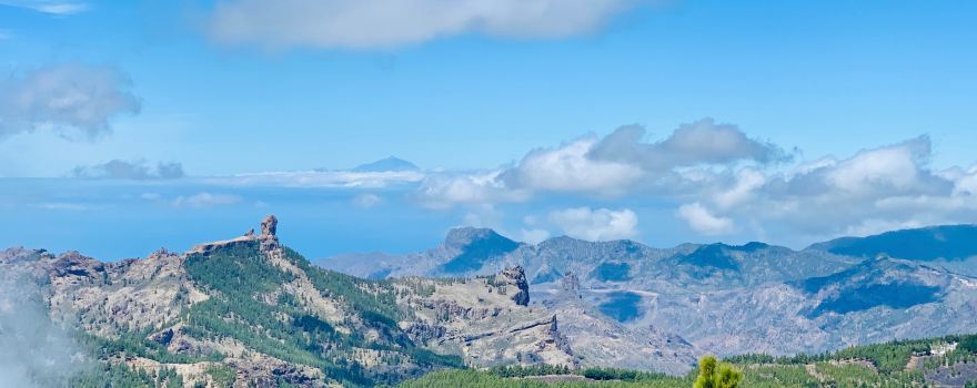 Pico de las Nieves
