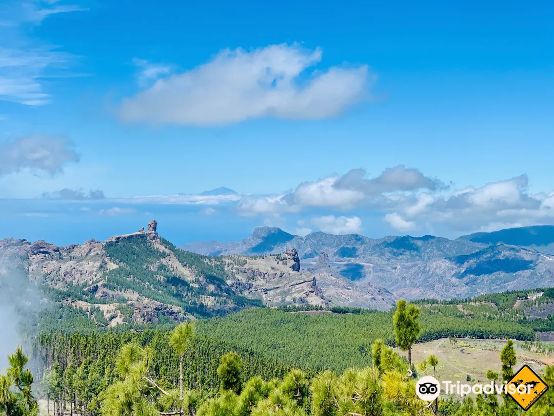 1_Pico de las Nieves