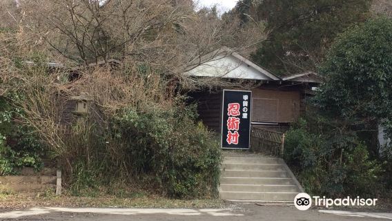 Koka Ninja Village