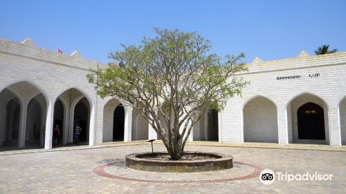 The Museum of the Frankincense Land