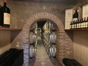 Cantina Santadi