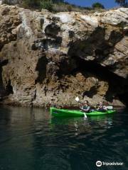 Cathedral Cove Kayak Tours