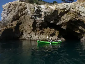 Cathedral Cove Kayak Tours